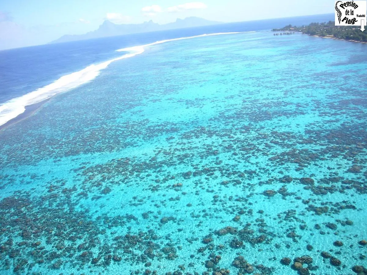 Pension De La Plage Punaauia  0*, Punaauia (Tahiti) Französisch-Polynesien